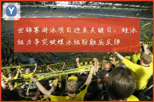 世锦赛游泳项目迎来关键日，蛙泳组力争突破蝶泳组盼触底反弹