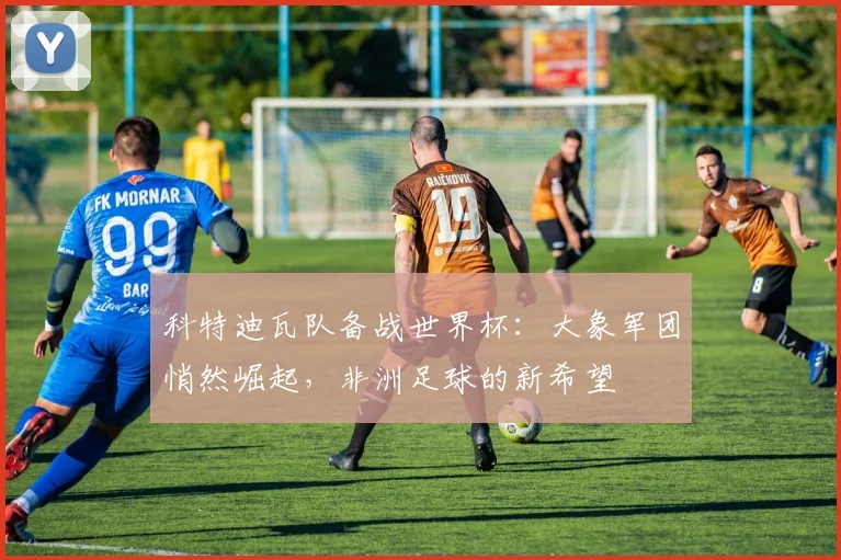 科特迪瓦队备战世界杯：大象军团悄然崛起，非洲足球的新希望
